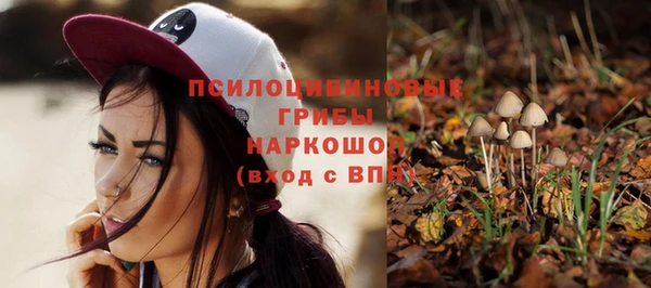 тгк Лихославль