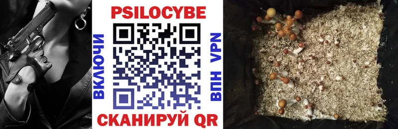 Псилоцибиновые грибы GOLDEN TEACHER  Медвежьегорск 